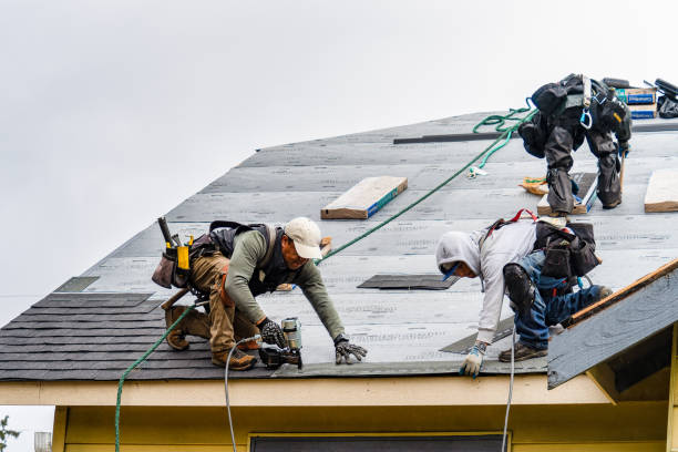 Professional Storm Damage Roof Repair technician working in Warda, TX
